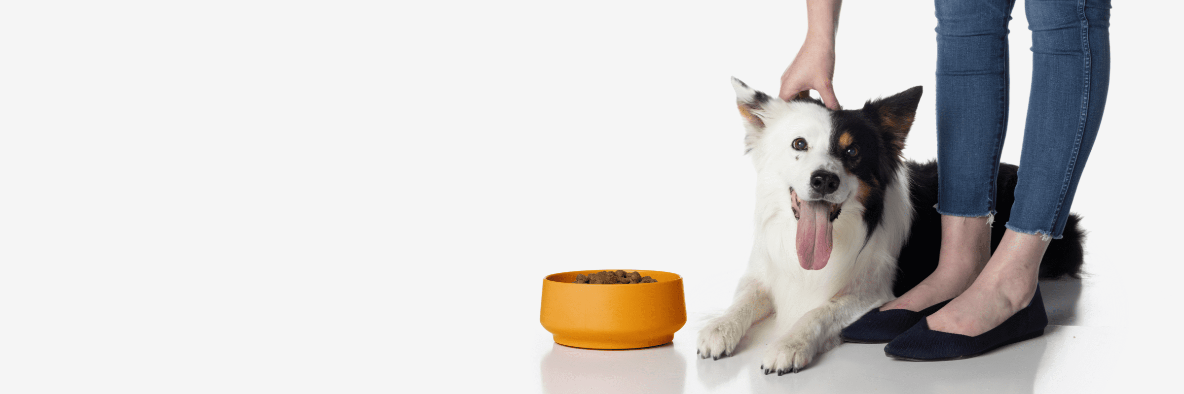 VETERINARY HPM Dog Food Virbac US